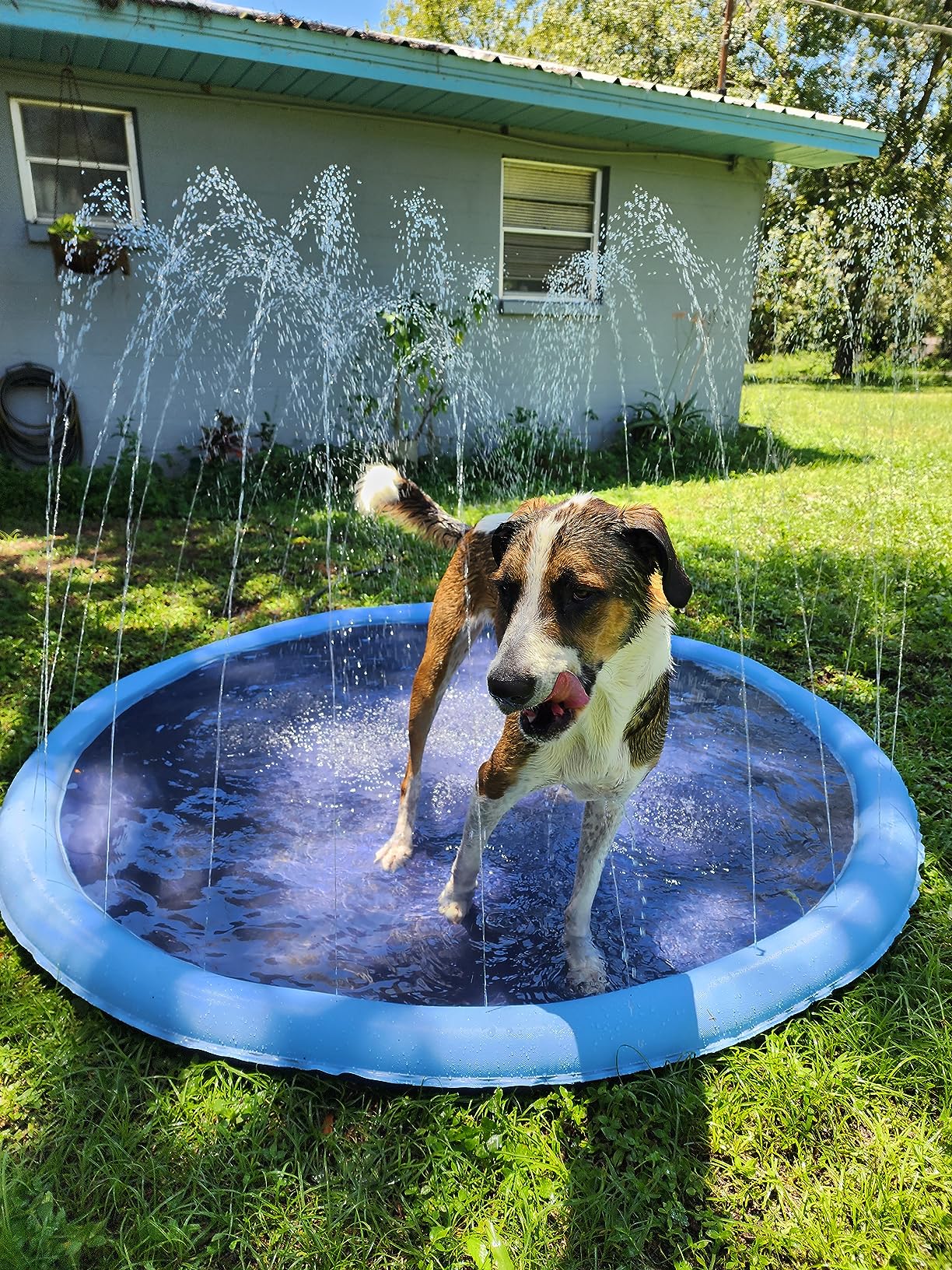 Luxara PawSplash™ - Ultimate Dog Splash Pad