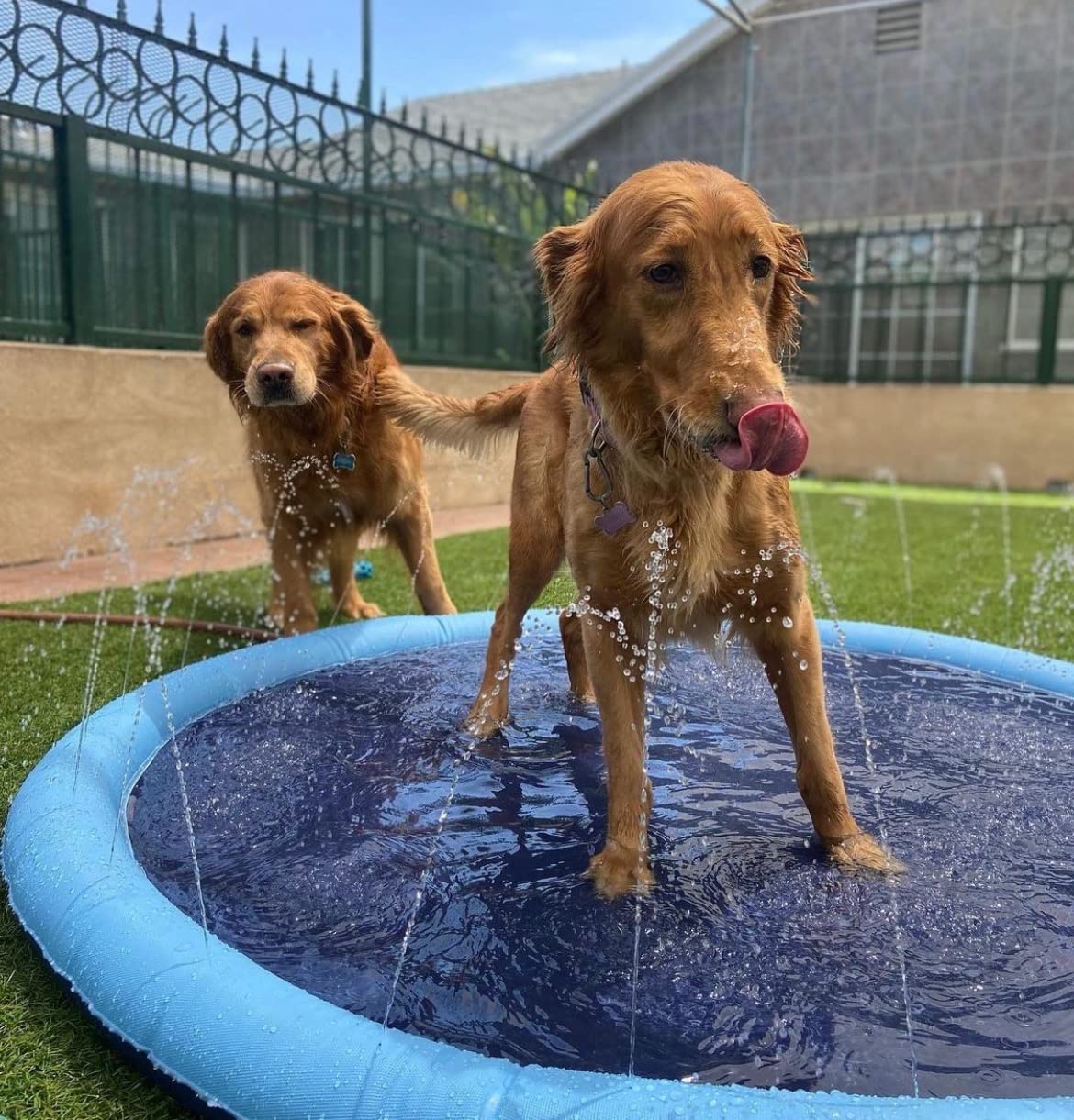 Luxara PawSplash™ - Ultimate Dog Splash Pad