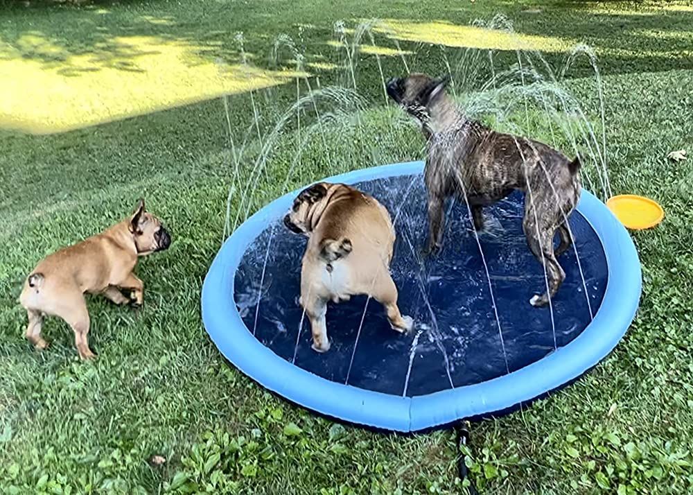 Luxara PawSplash™ - Ultimate Dog Splash Pad